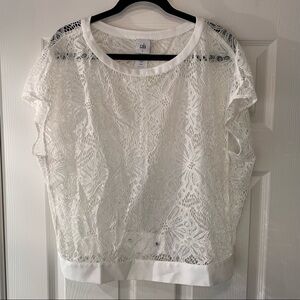 Cabi Top Adult Size S White Sheer Lace Banded Bottom Hem Style 5342 Women